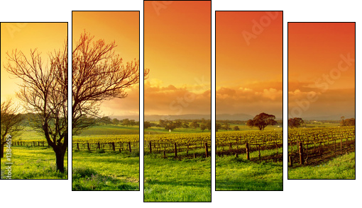 vineyard landscape - Five-piece canvas, Pentaptych