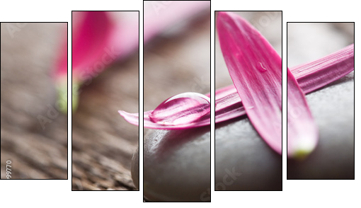Flower petals - Five-piece canvas, Pentaptych