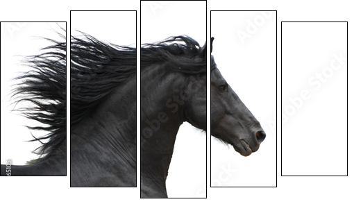 Portrait of galloping frisian horse on white background - Five-piece canvas, Pentaptych
