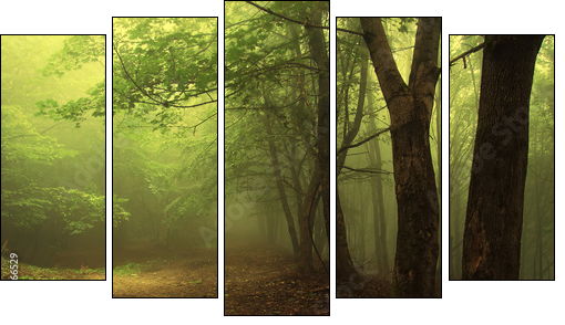 Green forest with fog - Five-piece canvas, Pentaptych
