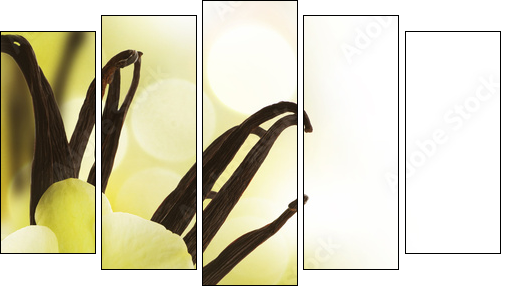Beautiful Vanilla beans and flower over blurred background - Five-piece canvas, Pentaptych