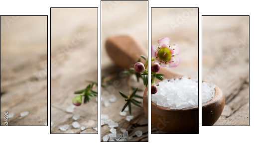 Bath salt - Five-piece canvas, Pentaptych