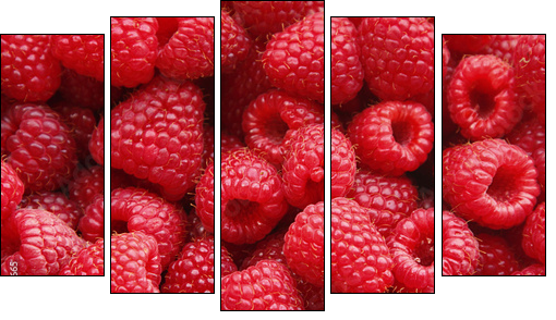 Sweet raspberry - Five-piece canvas, Pentaptych