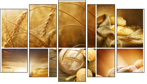 Wheat Collage.Harvest concepts - Five-piece canvas, Pentaptych