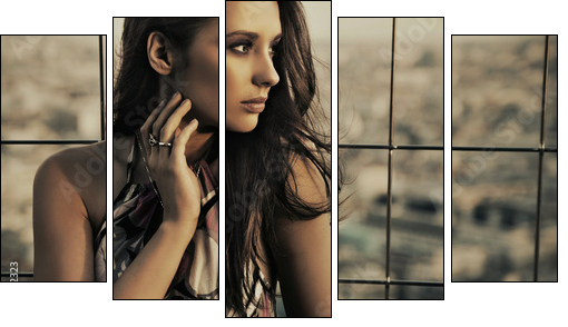 beauty posing over urban background - Five-piece canvas, Pentaptych