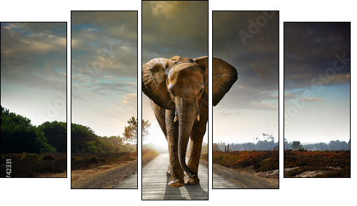 Walking Elephant - Five-piece canvas, Pentaptych