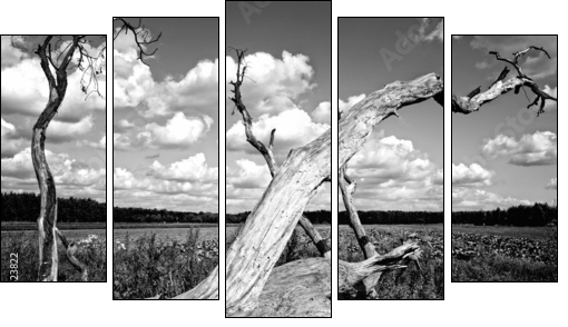 Drzewo - Five-piece canvas, Pentaptych