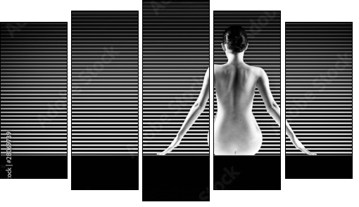 black and white artistic nude; a back silhouette shot on striped - Five-piece canvas, Pentaptych