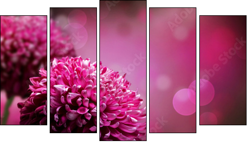 Dahlia Autumn flower design. With copy-space - Five-piece canvas, Pentaptych