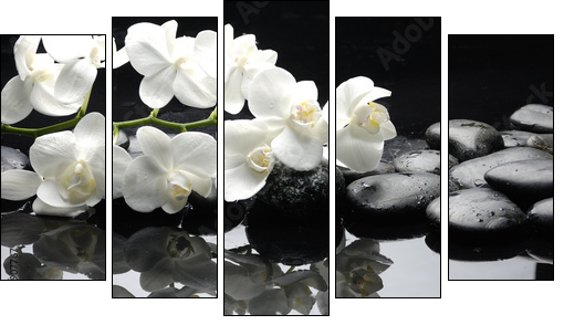 Close up white orchid with stone water drops - Five-piece canvas, Pentaptych