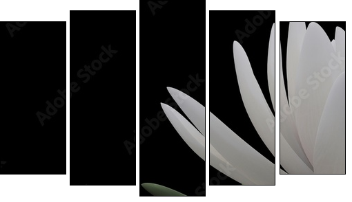 3d lotus - Five-piece canvas, Pentaptych