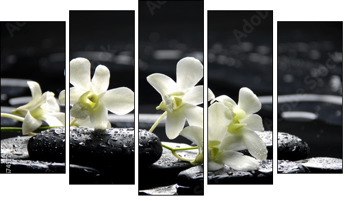 Zen stones and white orchids with reflection - Five-piece canvas, Pentaptych
