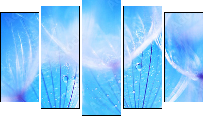 Soft dandelion flowers - Five-piece canvas, Pentaptych
