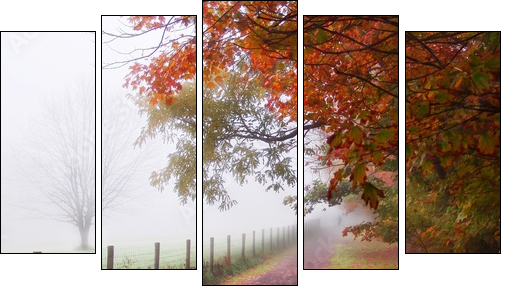 misty autumn morning - Five-piece canvas, Pentaptych
