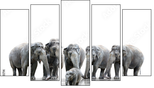 Elefantenherde - Five-piece canvas, Pentaptych