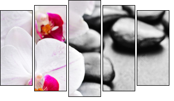 orchid - Five-piece canvas, Pentaptych