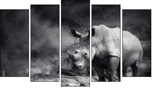 White Rhinoceros - Five-piece canvas, Pentaptych