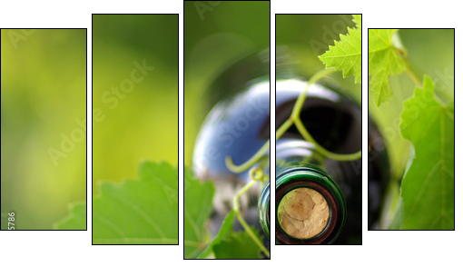 Bottle of wine between grapevine leves. - Five-piece canvas, Pentaptych