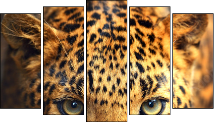 Leopard portrait - Five-piece canvas, Pentaptych