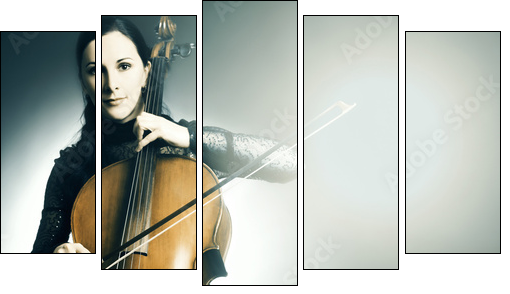 Cello musical instrument musician cellist playing - Five-piece canvas, Pentaptych