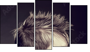 Men's hairstyle - Five-piece canvas, Pentaptych