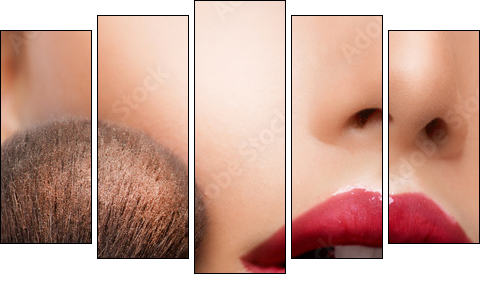 Make-up closeup. Cosmetic Powder Brush. Perfect Skin - Five-piece canvas, Pentaptych