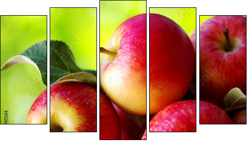 ripe red apples on table - Five-piece canvas, Pentaptych