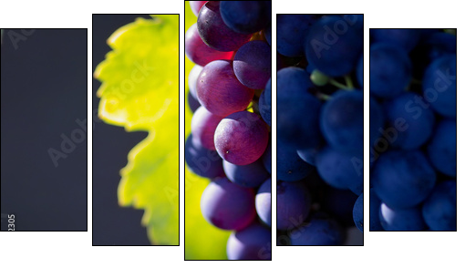 glowing dark wine grapes - Five-piece canvas, Pentaptych
