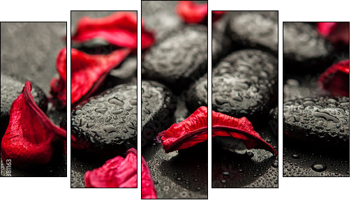background spa. black stones and red petals with water droplets - Five-piece canvas, Pentaptych