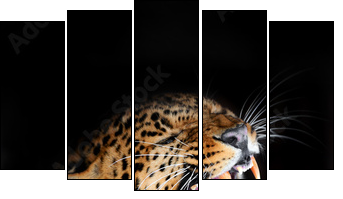 Leopard - Five-piece canvas, Pentaptych