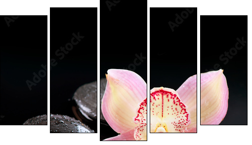 Zen Stones and Orchid Flower. Stone Massage - Five-piece canvas, Pentaptych
