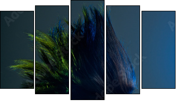Beautiful woman with fashion hairstyle - Five-piece canvas, Pentaptych