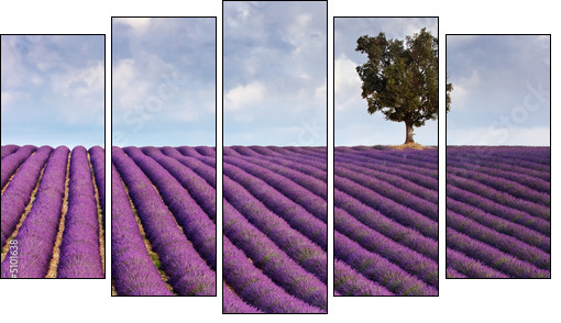 Lavender field and a lone tree - Five-piece canvas, Pentaptych