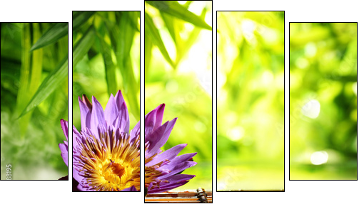 Spa still life with lotus float on water - Five-piece canvas, Pentaptych