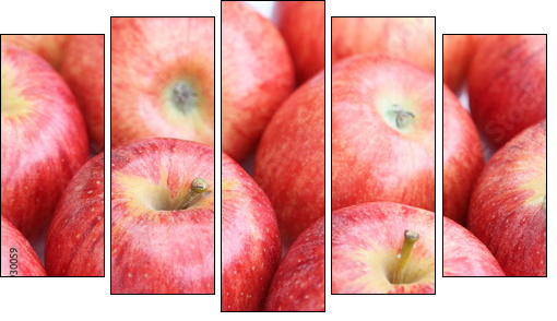 viele rote Ãpfel - Five-piece canvas, Pentaptych