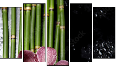 stock image of the spa concept - Five-piece canvas, Pentaptych