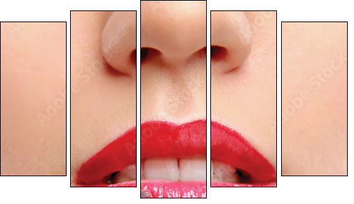 Woman's lips holding make up brush - Five-piece canvas, Pentaptych