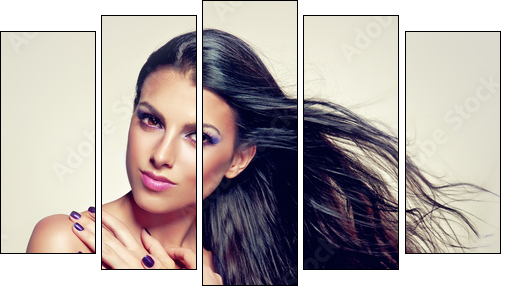 Beautiful brunette with long hair flying - Five-piece canvas, Pentaptych