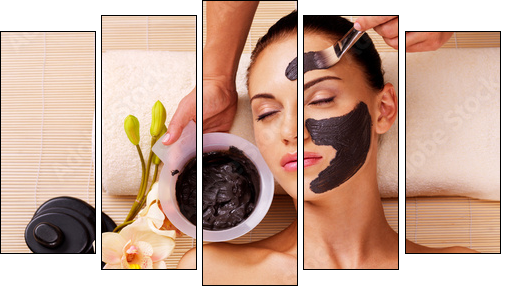 Cosmetologist smears cosmetic mask on the face of  woman - Five-piece canvas, Pentaptych