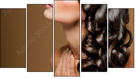 beautiful brunette with long  curly hair - Five-piece canvas, Pentaptych