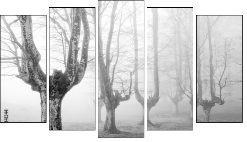 creepy forest with scary trees - Five-piece canvas, Pentaptych