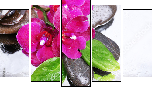 Composition with beautiful blooming orchid with water drops and - Five-piece canvas, Pentaptych
