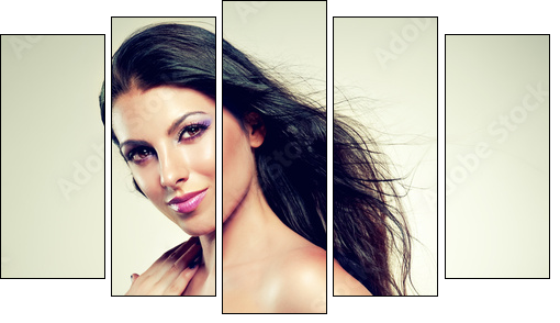 Beautiful brunette with long hair flying - Five-piece canvas, Pentaptych
