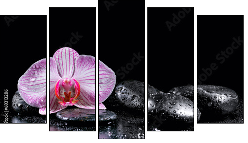 Orchid flower with zen stones on black background - Five-piece canvas, Pentaptych