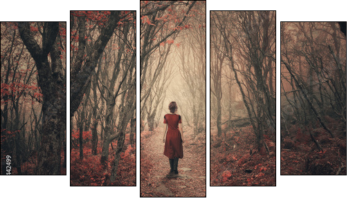 Woman and foggy forest. - Five-piece canvas, Pentaptych