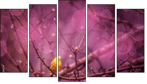 Yellowhammer siiting on a branch in a purple inviroment - Five-piece canvas, Pentaptych