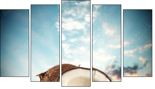 coconuts - Five-piece canvas, Pentaptych