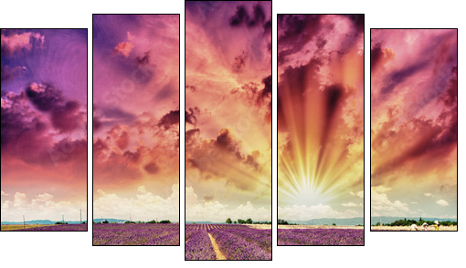 Lavender meadows in summer, Provence - France - Five-piece canvas, Pentaptych