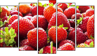 Strawberry panorama. - Five-piece canvas, Pentaptych