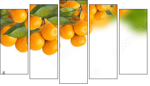 tangerine trees - Five-piece canvas, Pentaptych